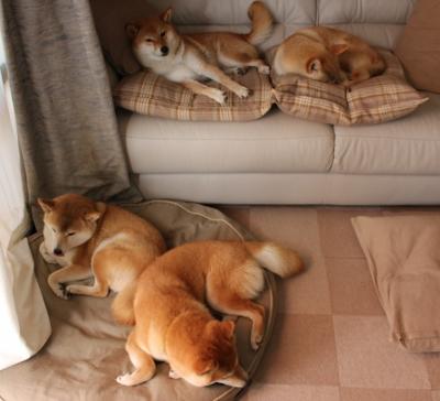 传统竹伞舞竞技，文化与运动的完美结合，竹伞结实吗